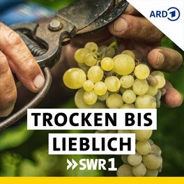 Show cover of Trocken bis lieblich – Wein-Wissen für alle