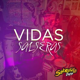 Show cover of Vidas Salseras