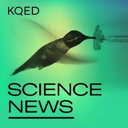 Show cover of KQED Science News