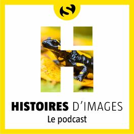 Show cover of Histoires d'images