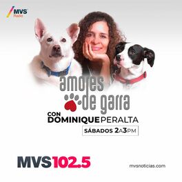 Show cover of Amores de garra