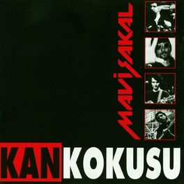 Show cover of Mavi Sakal - Kan Kokusu