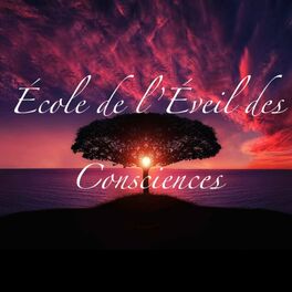 Show cover of L'école de l'éveil des consciences