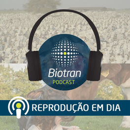 Show cover of Biotran - Reprodução em dia