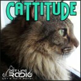 Show cover of Cattitude -  The #1Cat Podcast About Cats As Pets-  Pet Life Radio Original (PetLifeRadio.com)