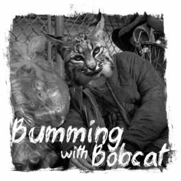 Show cover of Bumming with Bobcat