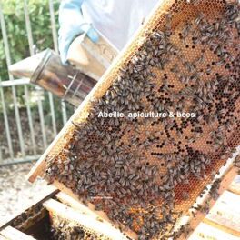 Show cover of Abeille, Apiculture & Bees