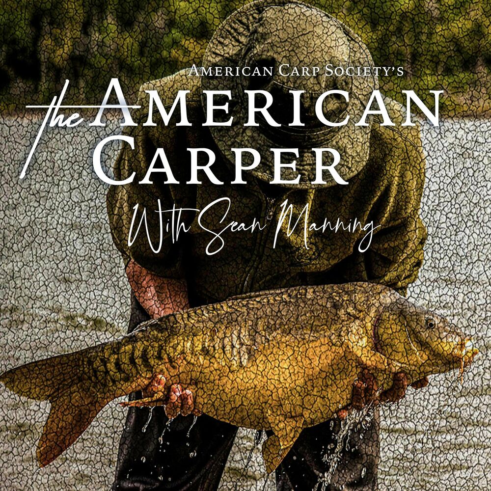 Listen to THE AMERICAN CARPER - With Sean Manning podcast