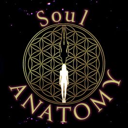 Show cover of Soul Anatomy