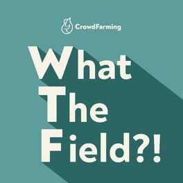 Show cover of What the Field?!