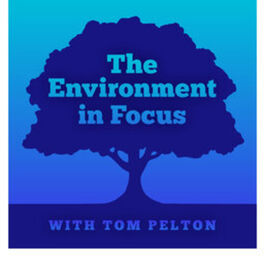 Show cover of The Environment in Focus