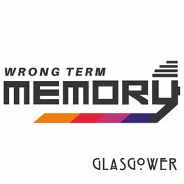 Show cover of Wrong Term Memory