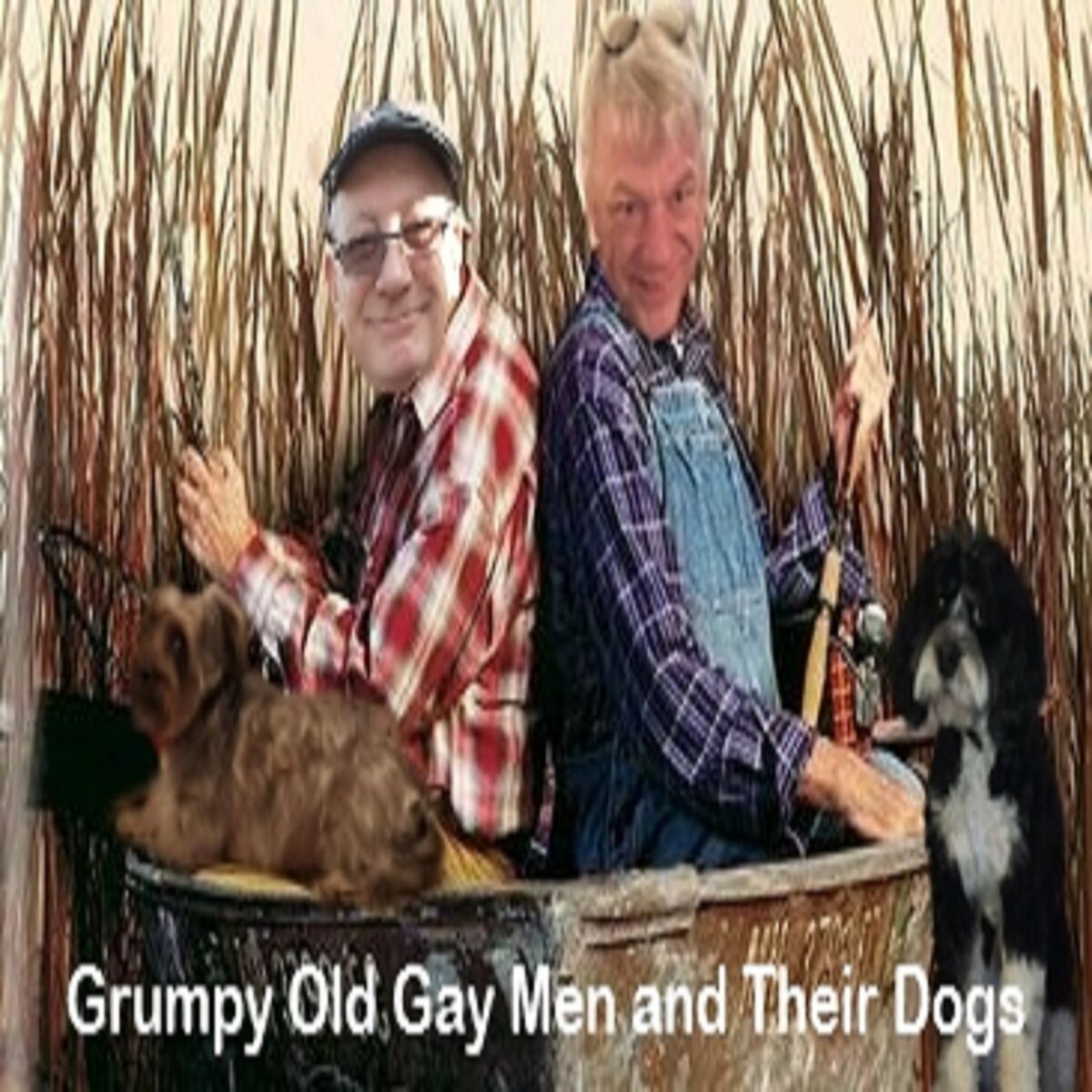 Listen to Grumpy Old Gay Men and Their Dogs podcast | Deezer