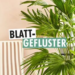 Show cover of Blattgeflüster - Der Zimmerpflanzenpodcast von SCHÖNER WOHNEN, COUCH und Pflanzenfreude.de