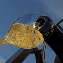 Show cover of Champagne : ce que cachent les bulles