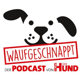 Show cover of Waufgeschnappt - der Podcast von DER HUND