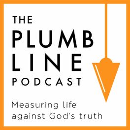 Show cover of The Plumb Line
