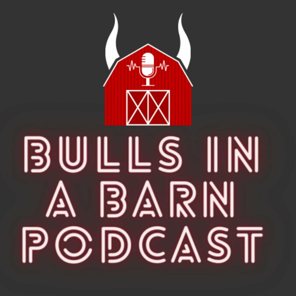 Bulls Talk Podcast