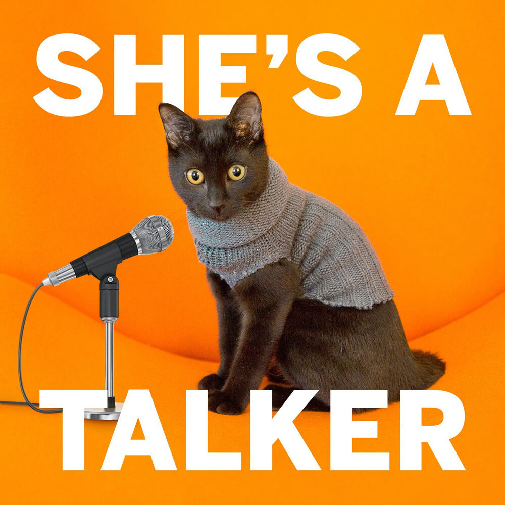 Listen to She's A Talker podcast