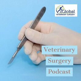 Show cover of Veterinary Surgery Podcast