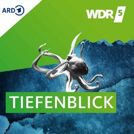 Show cover of WDR 5 Tiefenblick
