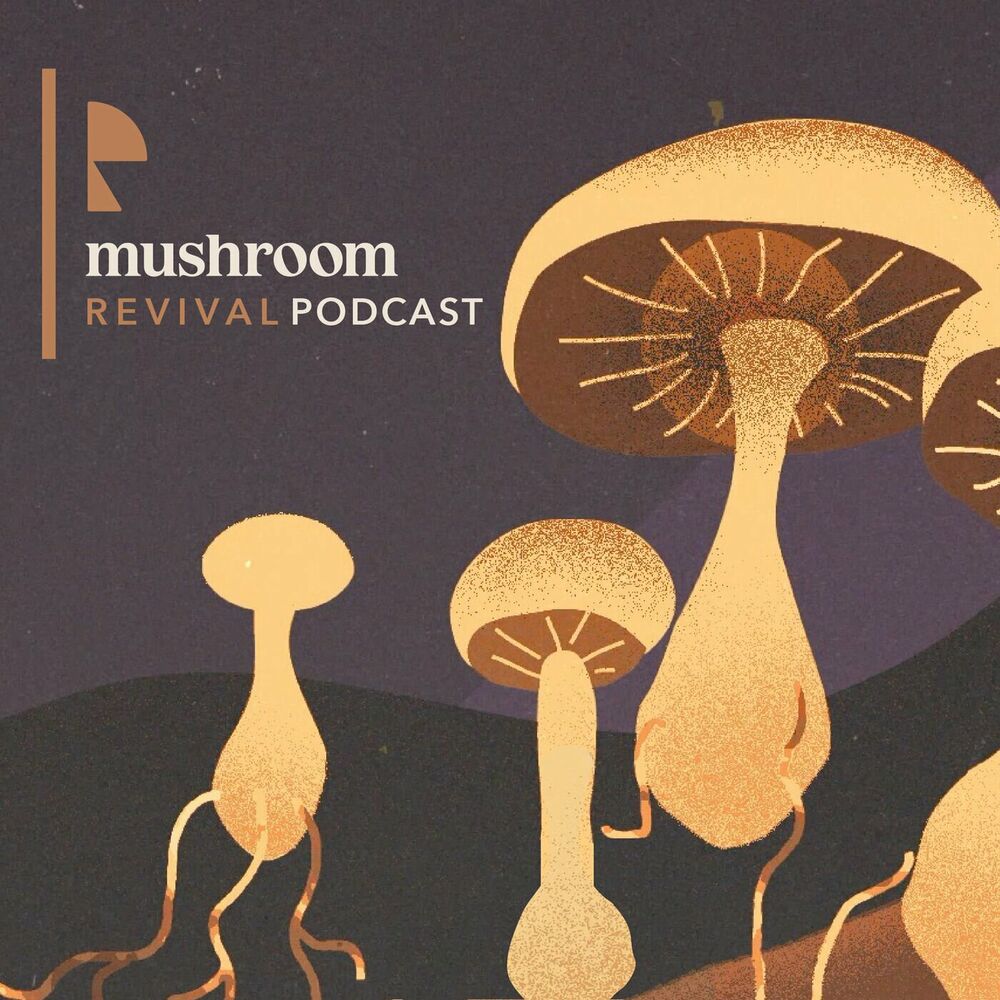Psilocybin Mushrooms as Spiritual Allies