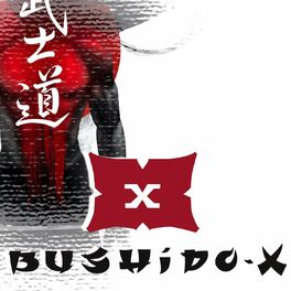 Show cover of BushidoX - Der Kampfkunst Podcast