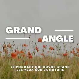 Show cover of GrandAngle - le podcast qui ouvre les yeux sur la nature