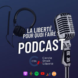 Épisode 3 - Série « Sambre, radioscopie d'un fait divers » : le non-cumul  des peines en France / Le référendum citoyen sur les SUV à Paris - Quid  Juris ?