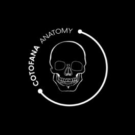 Show cover of Cotofana Anatomy