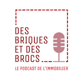Show cover of Des Briques et Des Brocs