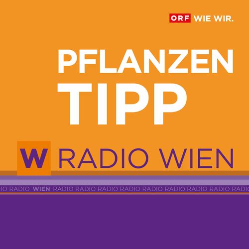 Listen to Radio Wien Pflanzentipp podcast | Deezer