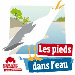 Show cover of Les Pieds dans l'Eau