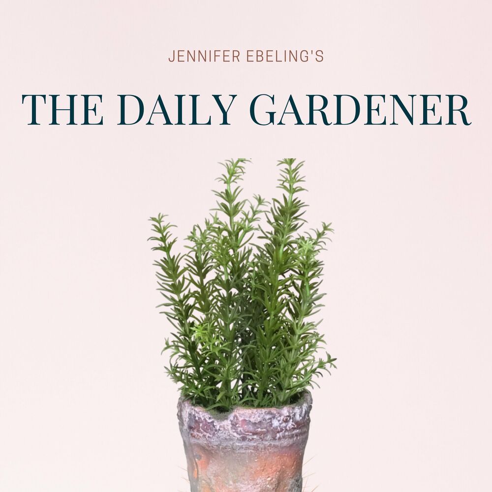 Listen to The Daily Gardener podcast | Deezer
