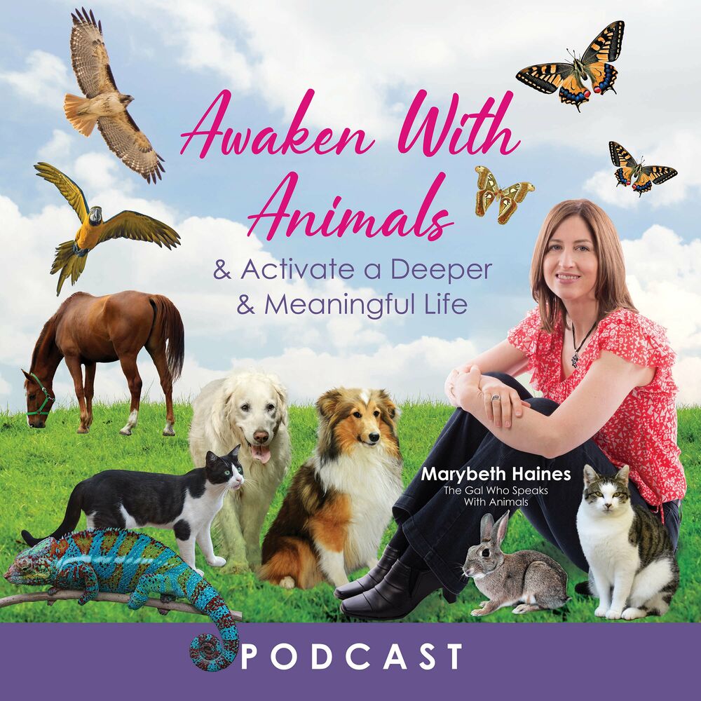 Listen to Awaken With Animals podcast | Deezer