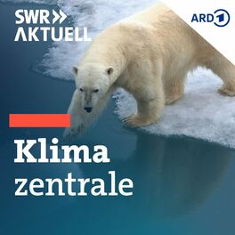 Show cover of Klimazentrale - Der Talk zu Klima & Umwelt