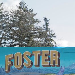 Show cover of What the Foster