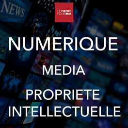 Show cover of droit du numérique, média, propriété intellectuelle / industrie