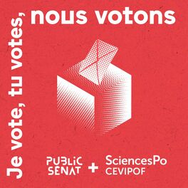 Show cover of Je vote, tu votes, nous votons