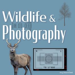 Show cover of Wildlife and Photography
