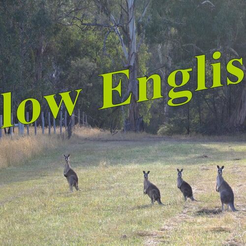 Listen to Slow English podcast | Deezer