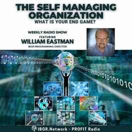 Show cover of The Self Managing Organization
