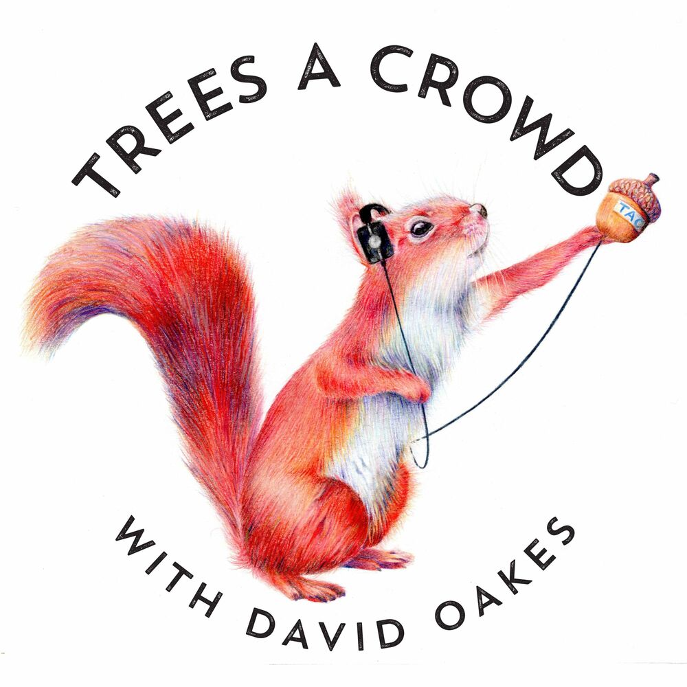 Listen to Trees A Crowd podcast Deezer