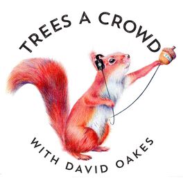 Show cover of Trees A Crowd