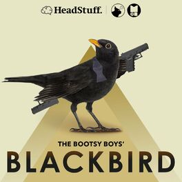 Show cover of The Bootsy Boys' Blackbird