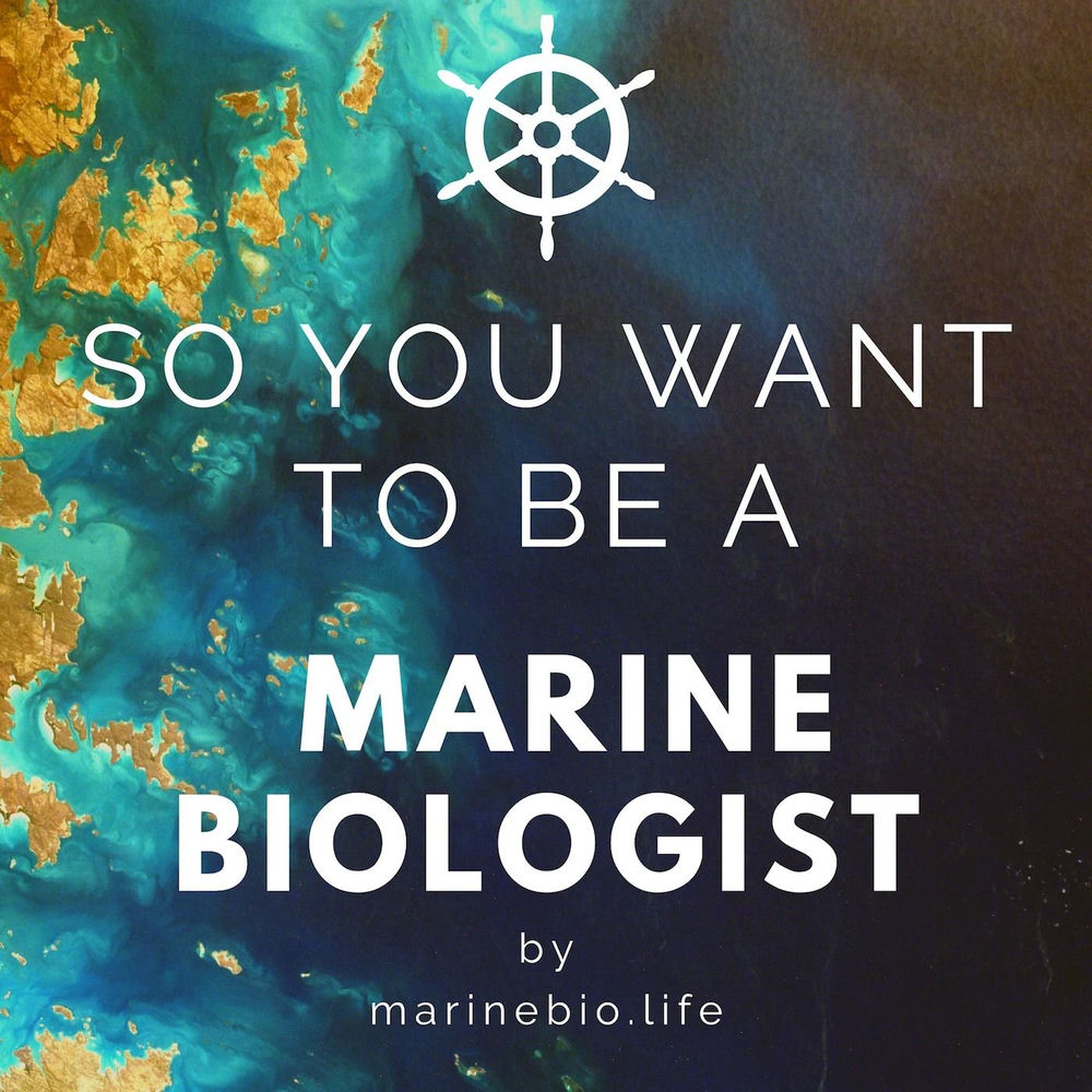 Listen to So You Want to Be a Marine Biologist podcast | Deezer