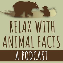 Show cover of Relax With Animal Facts