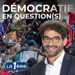Show cover of Démocratie en Question(s)