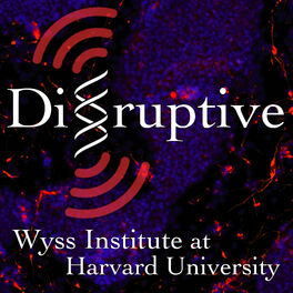 Show cover of Disruptive