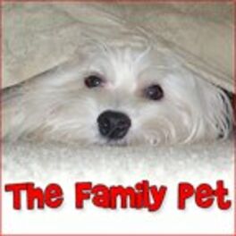 Show cover of The Family Pet - Pets & Animals on Pet Life Radio (PetLifeRadio.com)